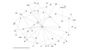 5-1 法輪功報導的社會網絡